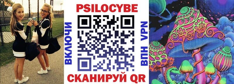 Псилоцибиновые грибы Psilocybe  hydra ONION  Бирюсинск  как найти наркотики 